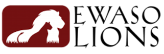 Ewaso Lions
