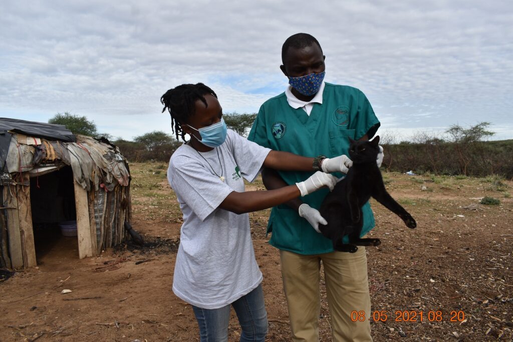 vetinwild vaccination in Kalama Conservancy